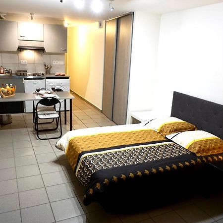 Charmant Studio Centre Ville Le Puy-en-Velay 외부 사진